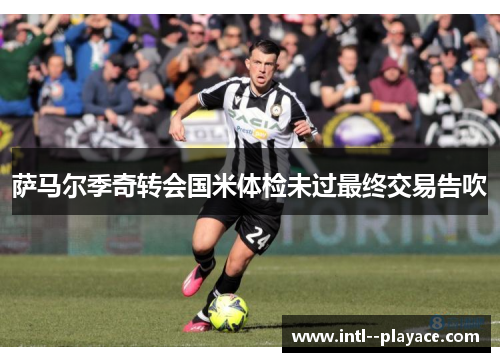 萨马尔季奇转会国米体检未过最终交易告吹 萨马尔季奇转会国米体检未过最终交易告吹